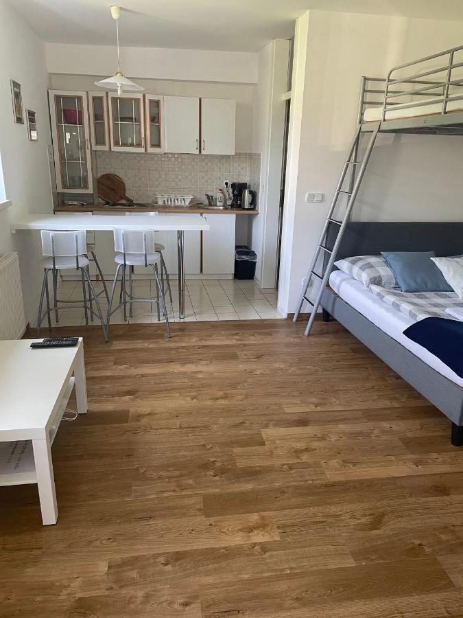 Studio apartment Ta5ek Jesenice Esterno foto